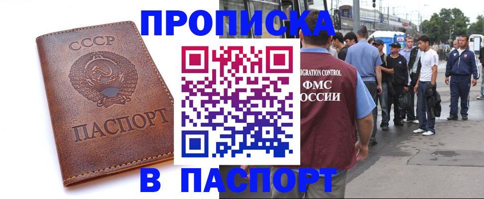 временная регистрация поиск в Камчатском крае